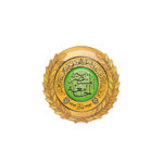 الجامعة المستنصرية