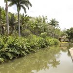 d41586-021-01241-2_19140182