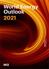 تقرير توقعات الطاقة العالمي ٢٠٢١.