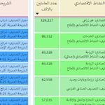 التعليم العالي