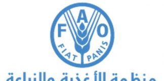 8.6 % انخفاض مؤشر《الفاو》لأسعار السلع الغذائيةعن يونيو للشهر الرابع على التوالي في يوليو