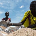 19_2022-638040361651935994-193