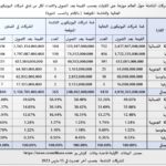 المقال الاول التمويل ورأس المال 1