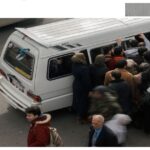 الشجار عام