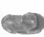AMULET IN THE SHAPE OF A CAT 11
