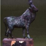 APIS BULL 25