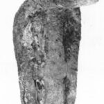 COBRA HEAD 37