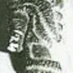 HEAD OF A GLADIATOR 61