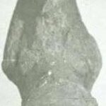 MALE TORSO 77