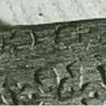 PANEL WITH KUFIC INSCRIPTIONS 96