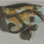 224