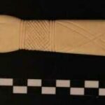 clapper-337