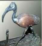 ibis-394