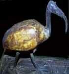 ibis-396