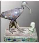 ibis-walking-399
