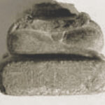 lower-part-of-a-scribe-248