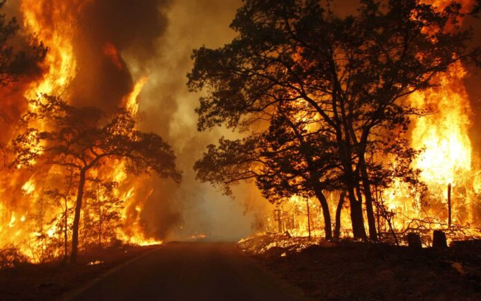 كوارث طبيعية