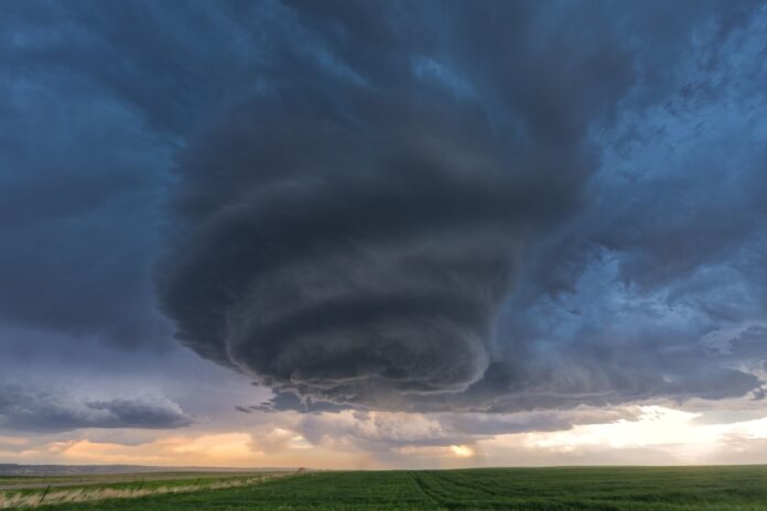 نشرة رقم 2025 صورة المقال الاول