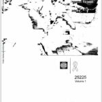 تقرير البنك الدولي السنوي 2001