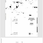 تقرير البنك الدولي السنوي 2002 عربي