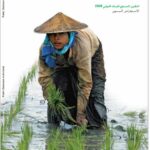 تقرير البنك الدولي السنوي 2008 عربي