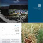 تقرير البنك الدولي السنوي 2024عربي