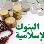 نشرة رقم مايو 2025 المقال الثاني التمويل