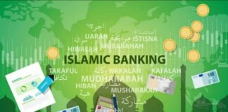 الصيرفة الشرعية: نظرة إحصائية في العمق للأعداد والأصول والتمويل