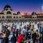 تشرة رقم يونيو 2025 صورة المقال الاول اعداد السائحين