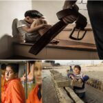 نشرة يوليو 2025 المقدمة