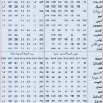 نشرة رقم اغسطس 2025 صورة المقال الثالث الجمارك والبنية التحتية
