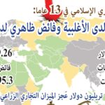 نشرة نوفمبر 2025 ـ صورة خبر البي دي اف