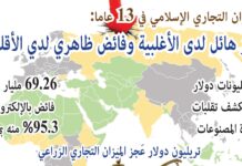 نشرة رقم عدد نوفمبر 2025 بي دي اف