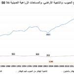 نشرة رقم اغسطس 2026 المقال الثالث إنتاجية الحبوب الصينية خلال 50 سنة شكل 1