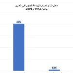 نشرة رقم اغسطس 2026 المقال الثالث إنتاجية الحبوب الصينية خلال 50 سنة شكل 2