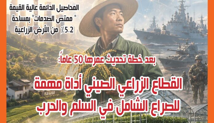 نشرة رقم اغسطس 2026 صورة خبر البي دي اف